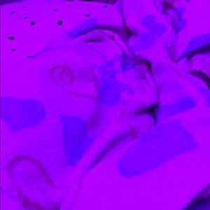 Meet your Posher, Allanys